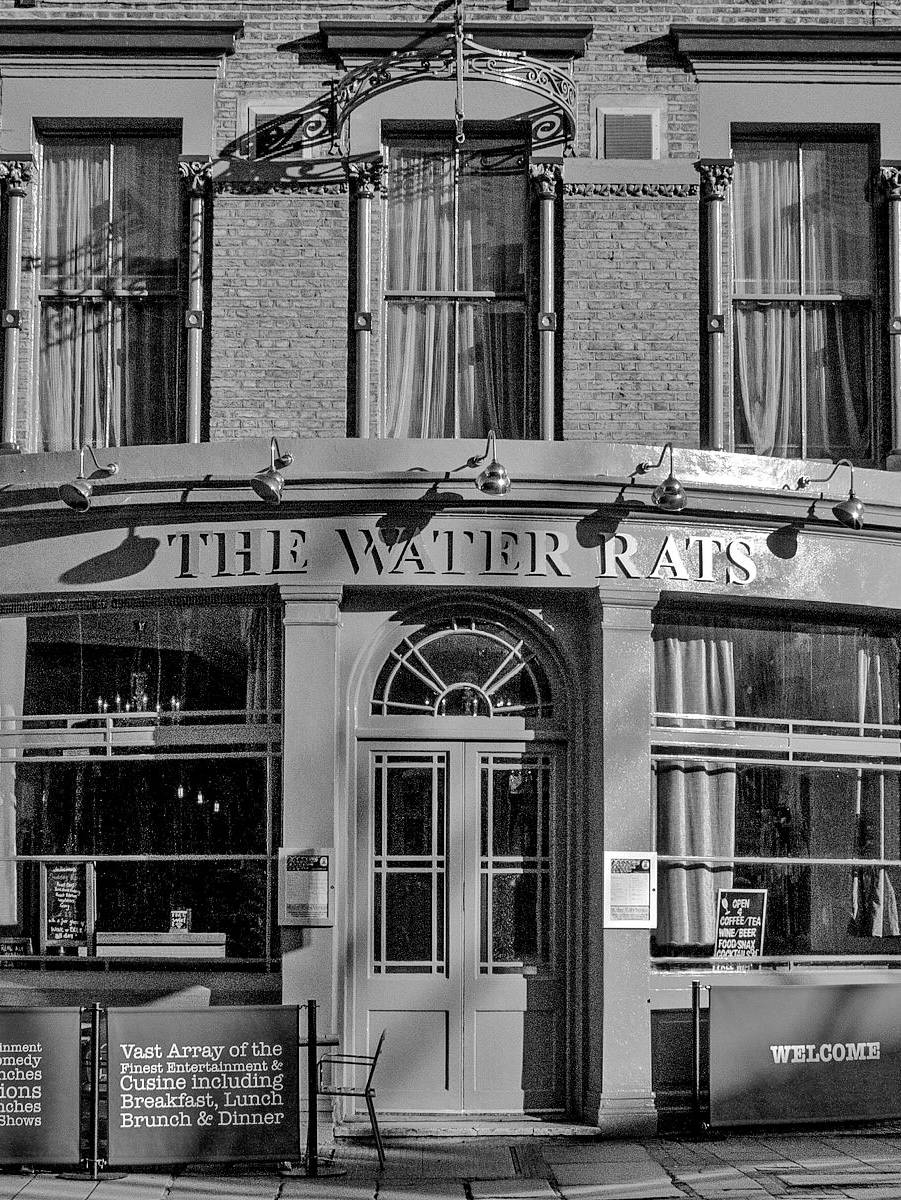 The Water Rats