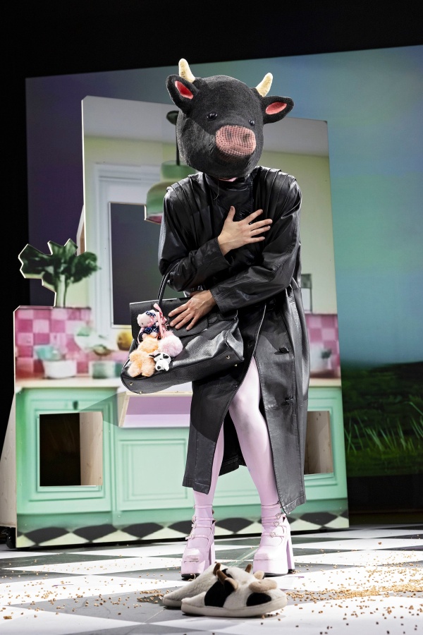 HOLSTEIN MILCHKHE