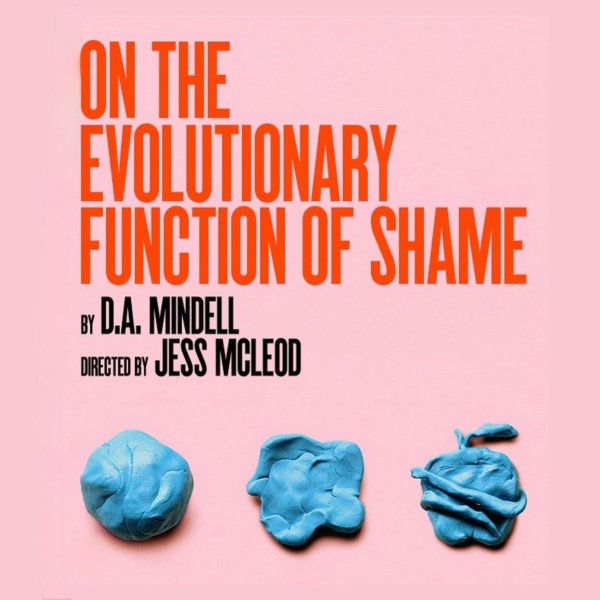 ON THE EVOLUTIONARY FUNCTION OF SHAME