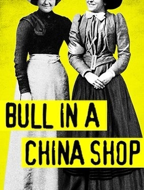 BULL IN A CHINA SHOP